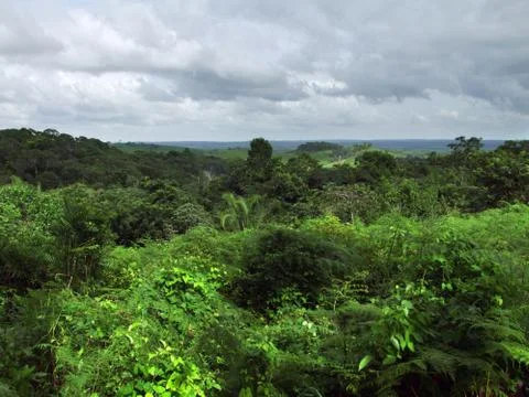 Kohunlich Stock Photos