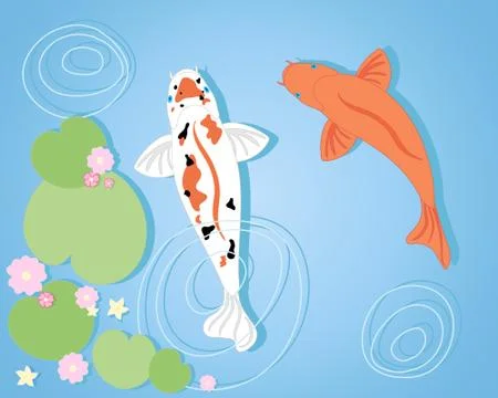 Koi background Stock Illustration