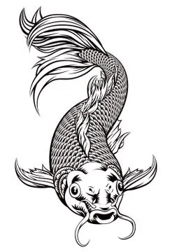 Koi Carp Fish Stock-Illustration