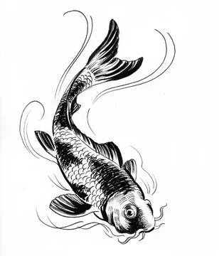 Koi carp fish Stock Illustration