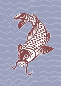 Koi carp swimming down Stock Illustration