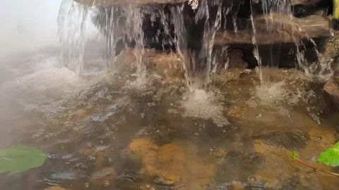 Koi fish are in a simulated waterfall. Stock Footage 290897508