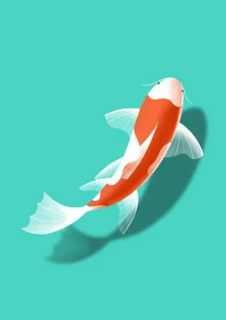 Koi fish Stock Illustration