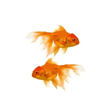 Koi fish illustration Stock Illustration
