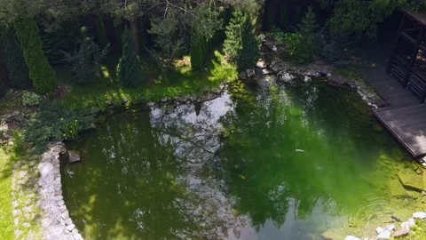 Koi fish or carp fish swimming in the pond on the backyard. Stock Footage 200225849