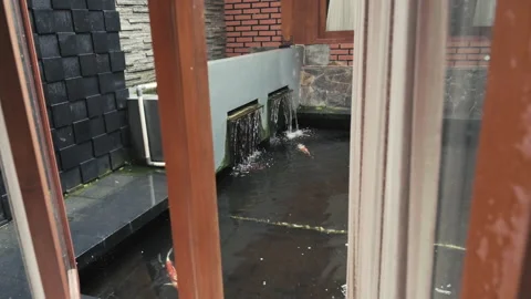 Koi fish pond during raining day behind wooden window frame Stock Footage 150268636