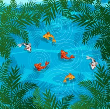 Koi fish in a pond Stock Illustration