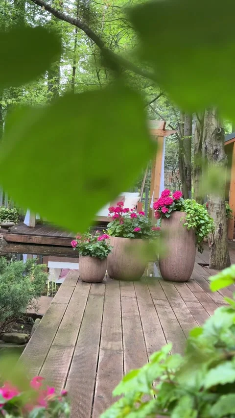 Koi Fish Pond Reflecting Cozy Summer Garden Lounge Video stock 334889129