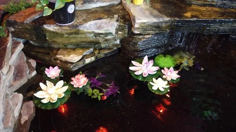 Koi Fish In Pond With Rocks Left To Right Panorama Stock Footage 103862503