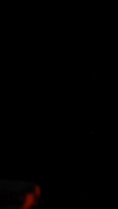 Koi Stock Footage 262123408