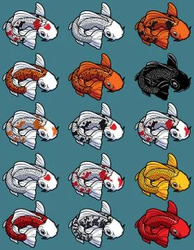 Koi Isolated Set 库存插图