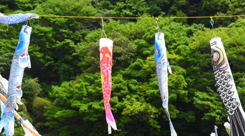 Koi no bori or carp-shaped wind socks traditionally flown in Japan Stock Footage 64640862