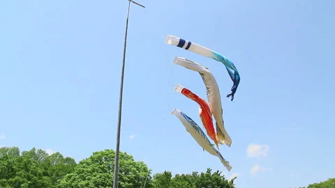 Koi Nobori Blown by the Wind Stock-Footage 327562089