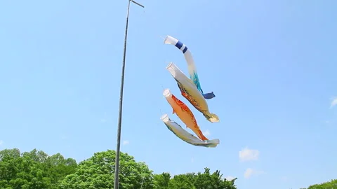 Koi Nobori Blown by the Wind Stock Footage 327562124