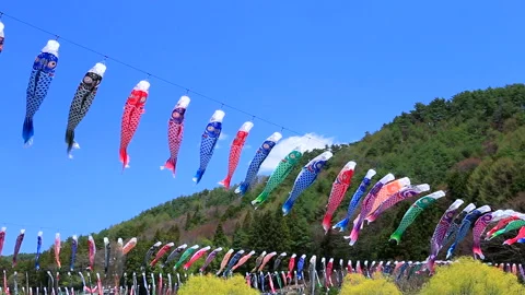 Koi Nobori Dancing in the Wind Stock-Footage 332473040
