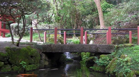 Koi Pond and Bridge Stock Footage 5296407