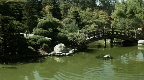 Koi Pond with Arched Bridge Stock Footage 41539262
