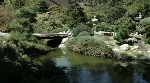 Koi Pond with Bridge 01 Stock Footage 41539369