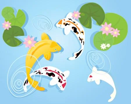 Koi pond Stock Illustration