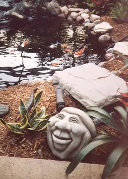 Koi Pond Stock Photos