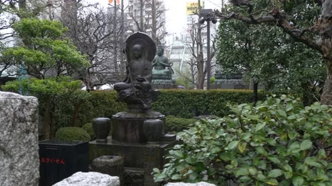 Koi Pond At Senso-Ji Temple In Tokyo, Japan Stock Footage 159080420