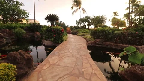 Koi pond walking Stock Footage 140760422