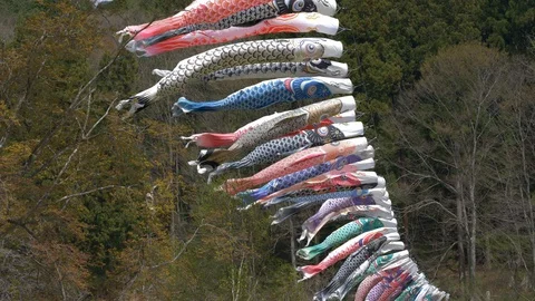 Koinnobori Carp Streamer Blowing in the Wind 스톡 동영상 128566071