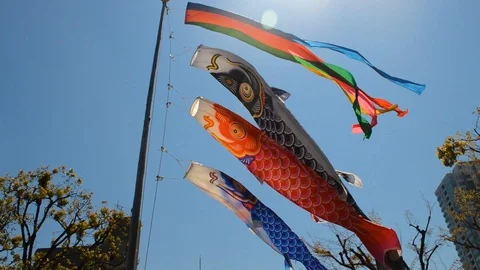 Koinobori carp flag on children's day in Japan Stock Footage