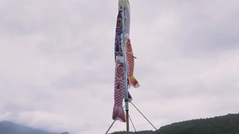 Koinobori Carp Streamers Flying in the Wind Stock Footage 341861329