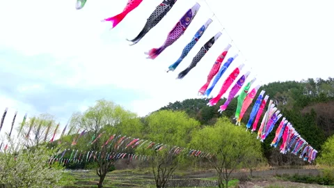 Koinobori Stock-Footage 332418132