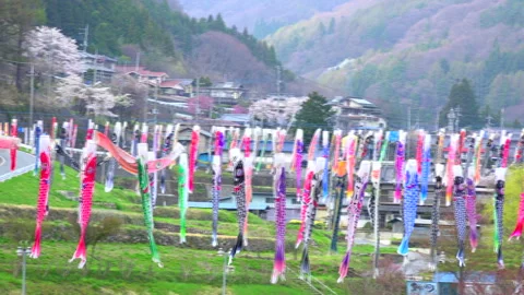 Koinobori Stock-Footage 332418141