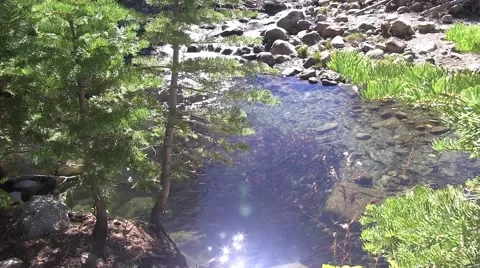 Kokanee Spawning.m2ts Video stock 42536119