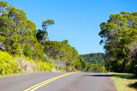 The Kokee State Park road through rainforest in Kauai, Hawaii. Stock Photos