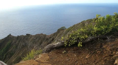 Koko-head ridge 動画素材 8156603