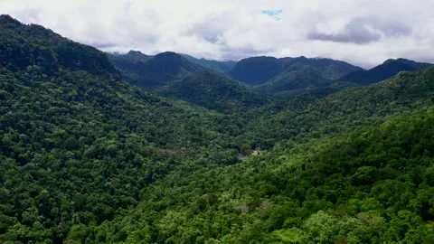 Kokoda Track from Ower's Corner 库存影片 138077360