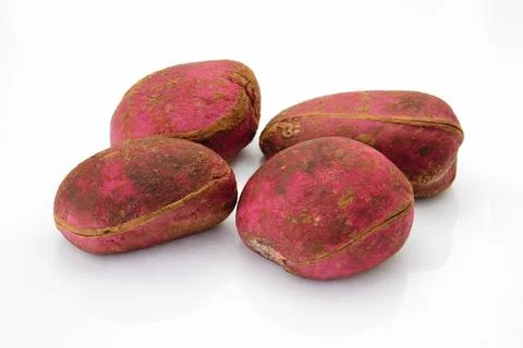 Kola nuts on a white background Stock Photos