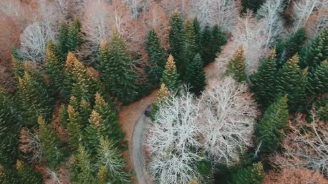 Kolasin Video stock 143286004