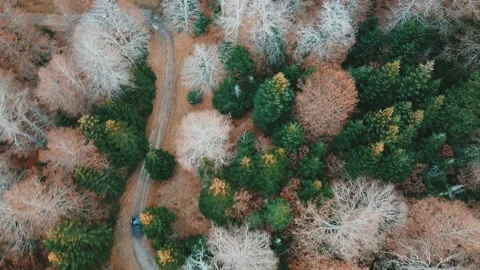 Kolasin Video stock 143286015