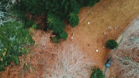 Kolasin Video stock 143286410