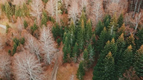 Kolasin Video stock 143286442