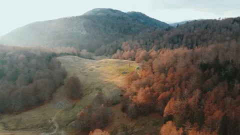Kolasin Nature Video stock 143285356
