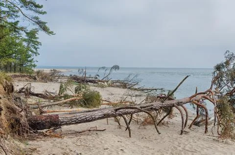 Kolka beach 写真素材