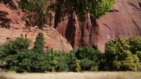 Kolob Canyon cliff and grass Stock Footage 83017828