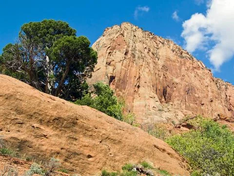 Kolob Canyons Boulder Stock Photos