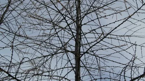 Kolyma hydroelectric Stock Footage 12440210