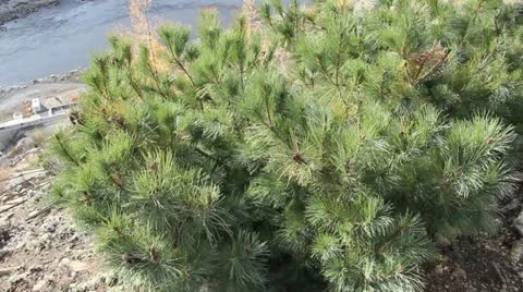 Kolyma hydroelectric Stock Footage 12440279