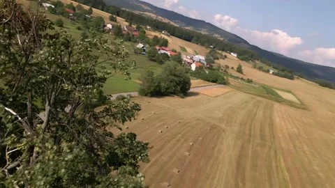 Komárno lipa Stock Footage 165303809