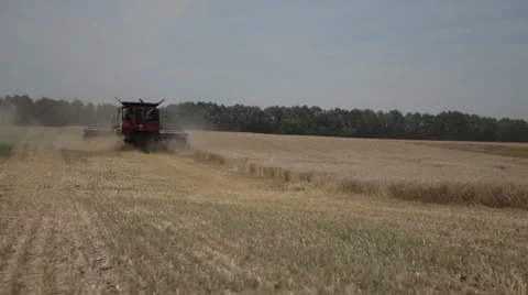 Kombain in a wheat field Stock Footage 45199812