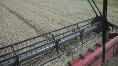 Kombain work, the view from the cockpit Stock Footage 45199870