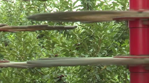 Kombajnizbliza2 Stock Footage 302457770